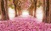 Loveliness15