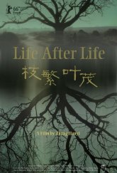 Жизнь после жизни (2016)