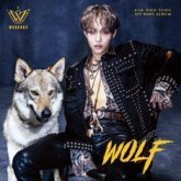 'WOLF' - дебютный мини-альбома Ким У Сона
