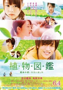 Вечнозелёная любовь (2016)